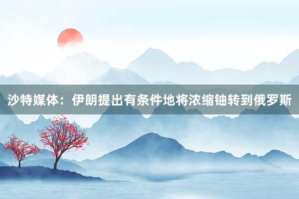 沙特媒体：伊朗提出有条件地将浓缩铀转到俄罗斯