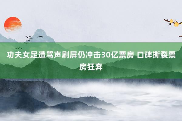 功夫女足遭骂声刷屏仍冲击30亿票房 口碑撕裂票房狂奔