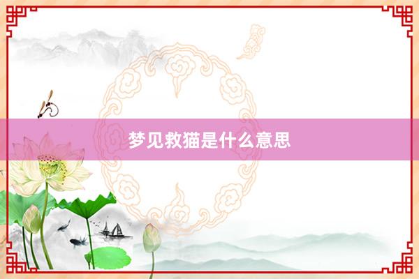 梦见救猫是什么意思
