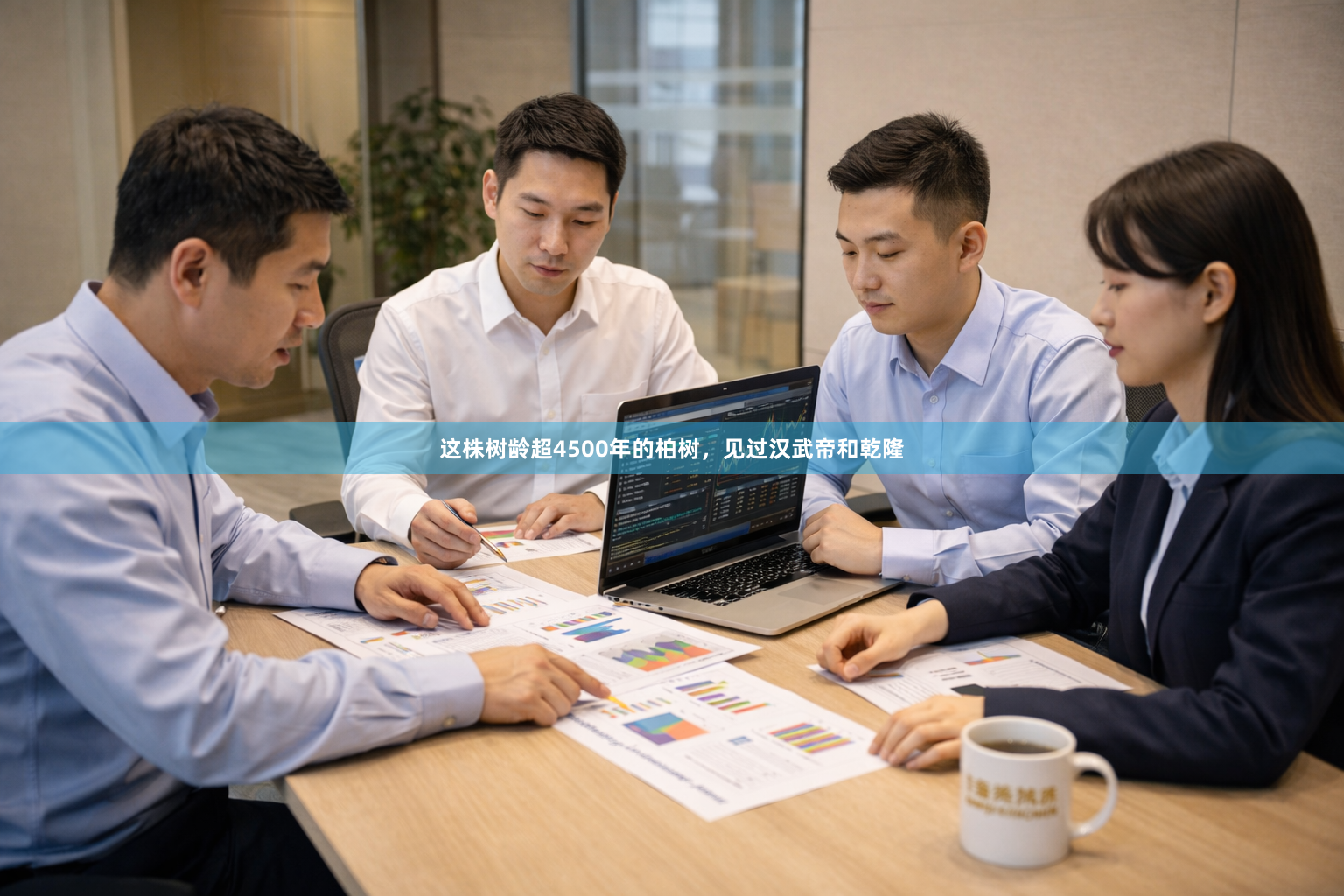 这株树龄超4500年的柏树，见过汉武帝和乾隆