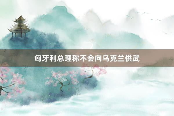 匈牙利总理称不会向乌克兰供武