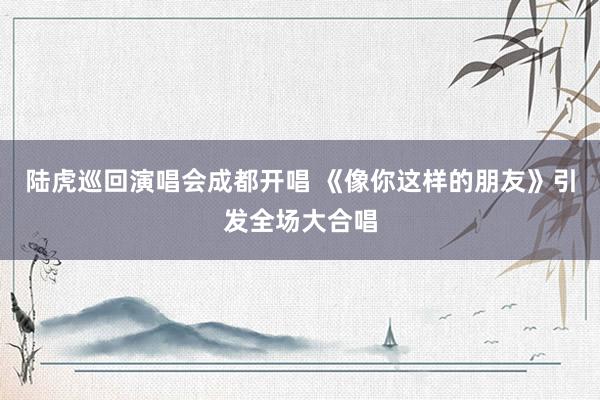 陆虎巡回演唱会成都开唱 《像你这样的朋友》引发全场大合唱