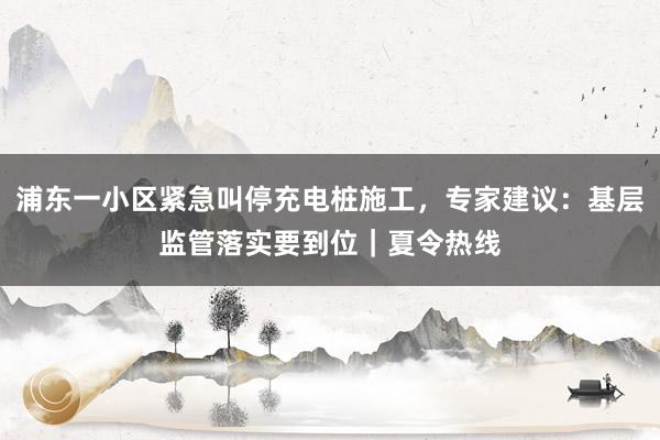 浦东一小区紧急叫停充电桩施工，专家建议：基层监管落实要到位｜夏令热线