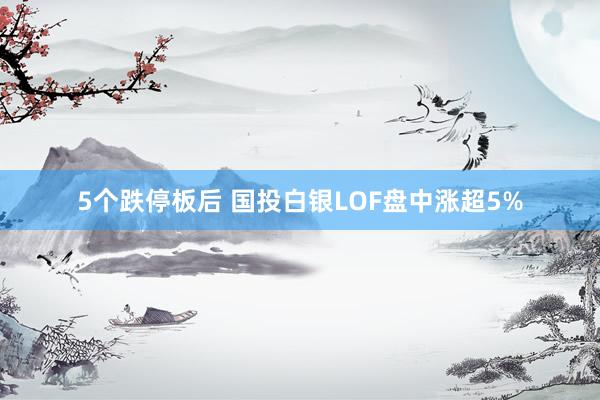 5个跌停板后 国投白银LOF盘中涨超5%