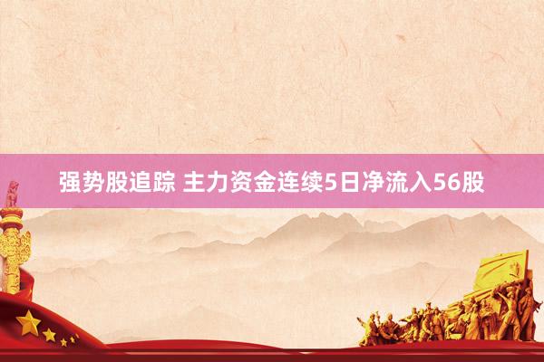 强势股追踪 主力资金连续5日净流入56股