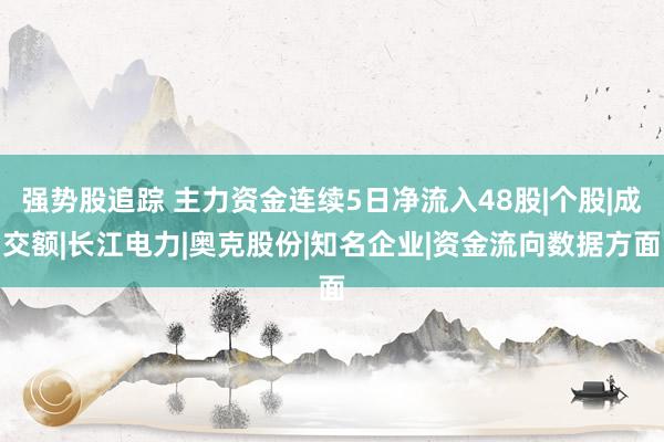 强势股追踪 主力资金连续5日净流入48股|个股|成交额|长江电力|奥克股份|知名企业|资金流向数据方面
