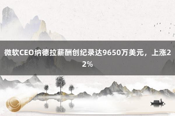 微软CEO纳德拉薪酬创纪录达9650万美元，上涨22%