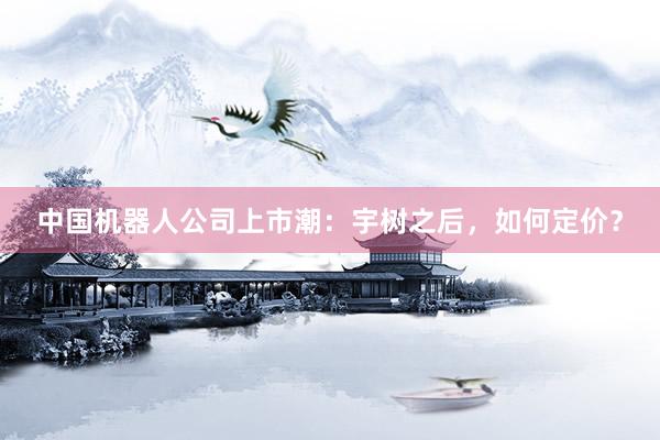 中国机器人公司上市潮：宇树之后，如何定价？
