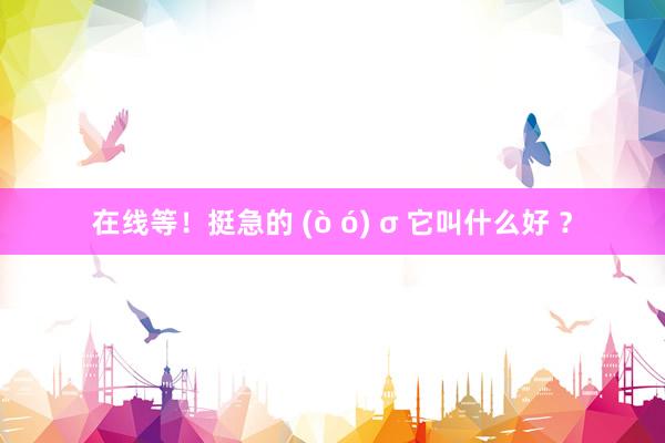 在线等！挺急的 (ò ó) σ 它叫什么好 ？