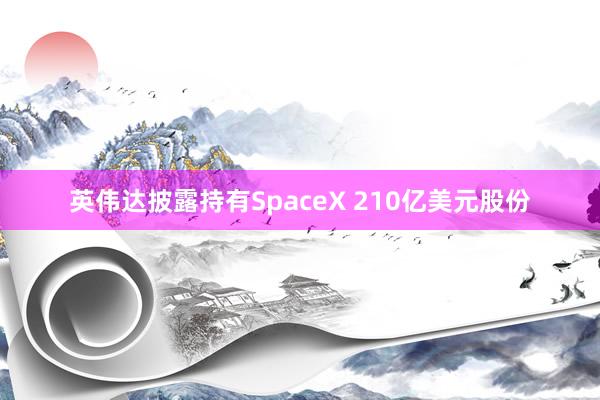 英伟达披露持有SpaceX 210亿美元股份