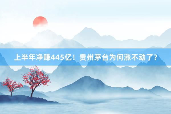 上半年净赚445亿!贵州茅台为何涨不动了?