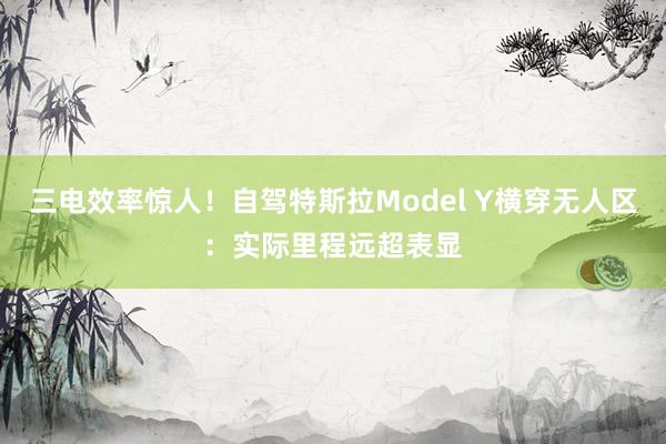 三电效率惊人！自驾特斯拉Model Y横穿无人区：实际里程远超表显