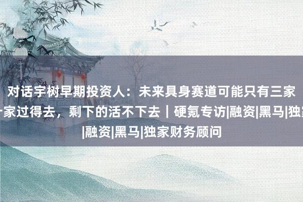 对话宇树早期投资人：未来具身赛道可能只有三家过得好，十家过得去，剩下的活不下去｜硬氪专访|融资|黑马|独家财务顾问
