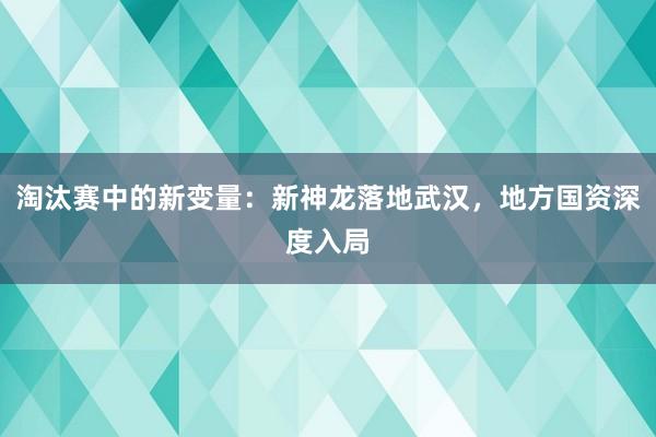 淘汰赛中的新变量:新神龙落地武汉,地方国资深度入局