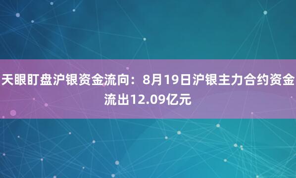 天眼盯盘沪银资金流向：8月19日沪银主力合约资金流出12.09亿元