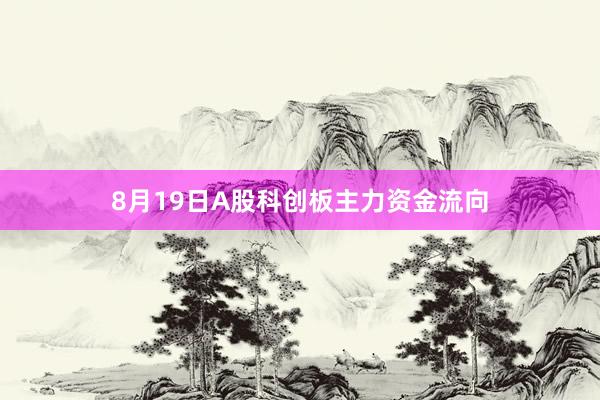 8月19日A股科创板主力资金流向