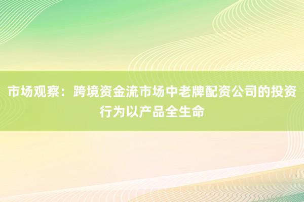 市场观察：跨境资金流市场中老牌配资公司的投资行为以产品全生命