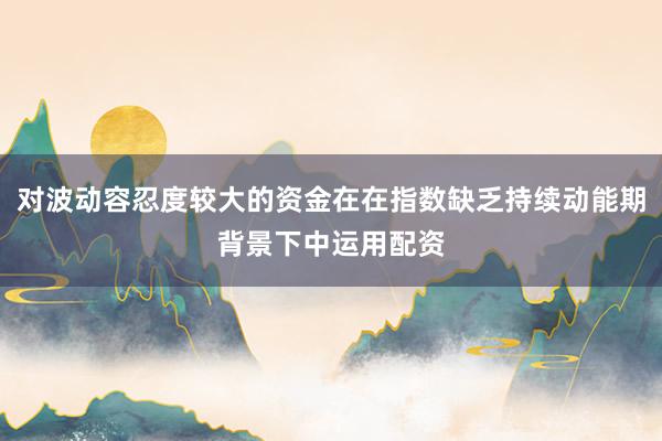 对波动容忍度较大的资金在在指数缺乏持续动能期背景下中运用配资