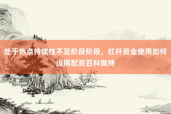 处于热点持续性不足阶段阶段，杠杆资金使用如何运用配资百科做持