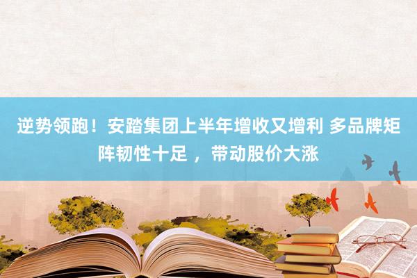 逆势领跑！安踏集团上半年增收又增利 多品牌矩阵韧性十足 ，带动股价大涨