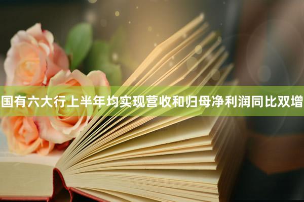 国有六大行上半年均实现营收和归母净利润同比双增