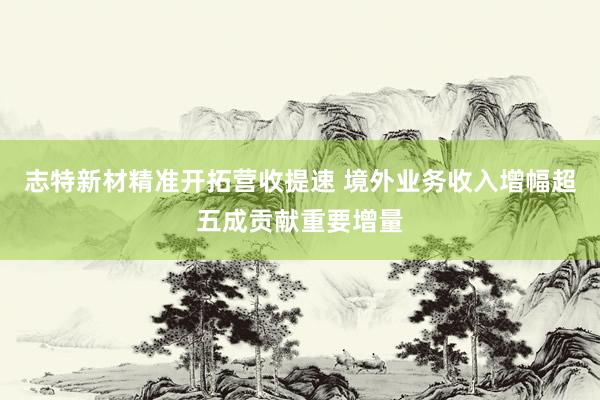 志特新材精准开拓营收提速 境外业务收入增幅超五成贡献重要增量