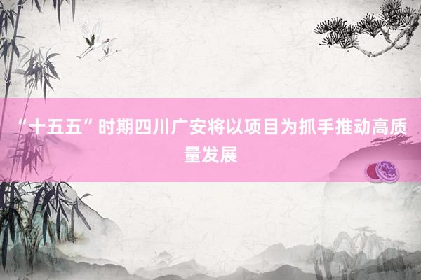“十五五”时期四川广安将以项目为抓手推动高质量发展