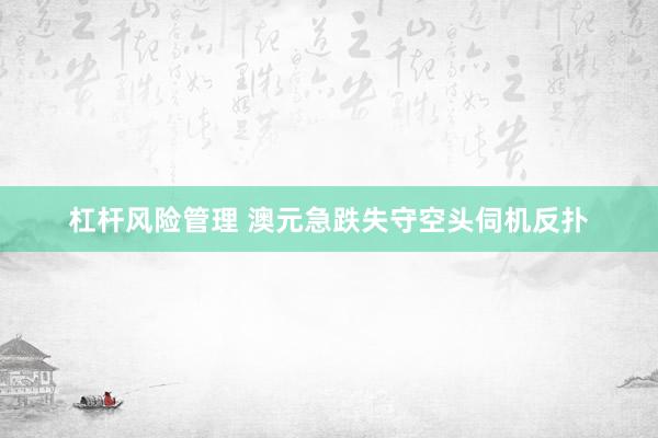 杠杆风险管理 澳元急跌失守空头伺机反扑