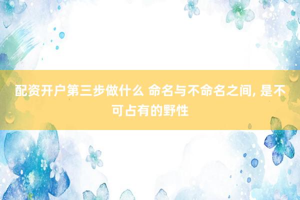 配资开户第三步做什么 命名与不命名之间, 是不可占有的野性