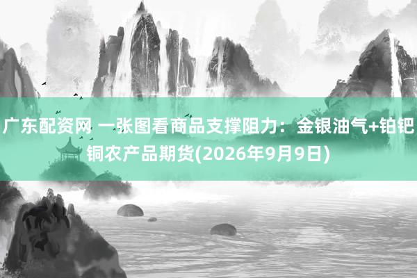广东配资网 一张图看商品支撑阻力：金银油气+铂钯铜农产品期货(2026年9月9日)