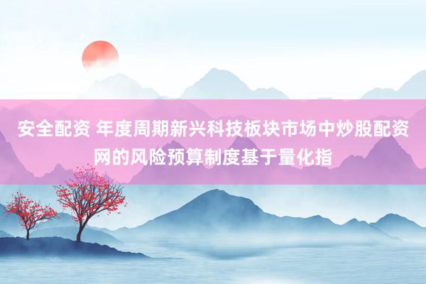 安全配资 年度周期新兴科技板块市场中炒股配资网的风险预算制度基于量化指