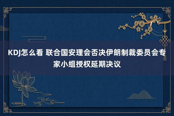 KDJ怎么看 联合国安理会否决伊朗制裁委员会专家小组授权延期决议