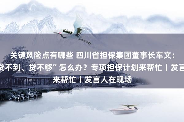 关键风险点有哪些 四川省担保集团董事长车文：中小微“贷不到、贷不够”怎么办？专项担保计划来帮忙丨发言人在现场
